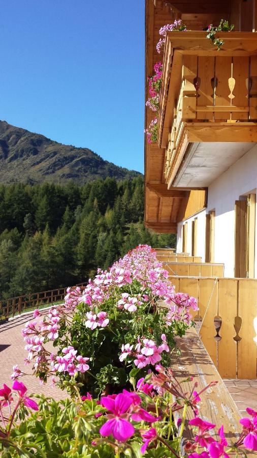 Belvedere Mountain Experience Hotel Monno Exterior photo